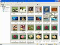 AyeView 3.00 screenshot. Click to enlarge!