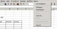 BC Excel Server 2008 Standard Edition 8.3 screenshot. Click to enlarge!