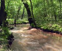 Babbling Brook 2.0 screenshot. Click to enlarge!