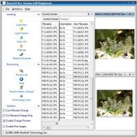 Batch It! Pro 5.57 screenshot. Click to enlarge!