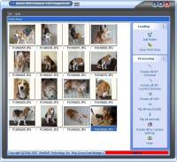 Batch JPEG Rotator 2.19 screenshot. Click to enlarge!