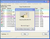 Batch & Print Pro 4.03 screenshot. Click to enlarge!