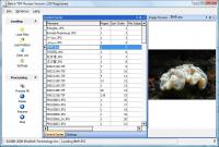 Batch TIFF Resizer 3.35 screenshot. Click to enlarge!
