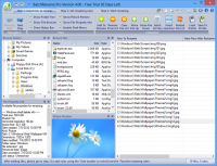 BatchRename Free Edition 4.0.9.1 screenshot. Click to enlarge!