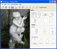 Beauty Pilot 2.9.1 screenshot. Click to enlarge!