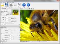 BenVista PhotoZoom Pro 7.0.4 screenshot. Click to enlarge!