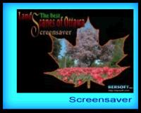 Best Ottawa