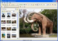 Better JPEG photo editor 2.0.0.9 screenshot. Click to enlarge!