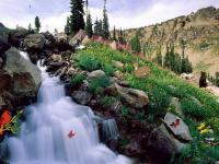 Bewitching Cascades Screensaver 2.0 screenshot. Click to enlarge!