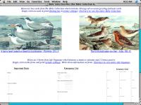 Bible Collection Plus 1.0 screenshot. Click to enlarge!