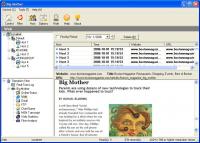 Big Mother 2.86 screenshot. Click to enlarge!