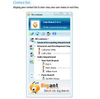 BigAnt Office Messenger 4.1.24 screenshot. Click to enlarge!