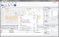 Binary Viewer 6.17.4.26 screenshot. Click to enlarge!