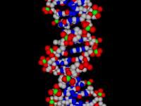 BioMolecula 3D ScreenSaver 1.1 screenshot. Click to enlarge!