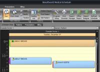 Biosoftworld Medical Scheduler 4.1.7 screenshot. Click to enlarge!