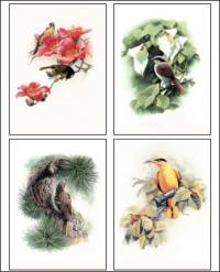 Bird Drawings 1 Screensaver 1.0 screenshot. Click to enlarge!