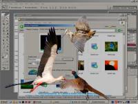 Birds 1.00 screenshot. Click to enlarge!