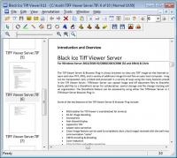Black Ice Tiff Viewer 11.53 Revision(961) screenshot. Click to enlarge!