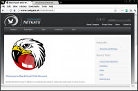 BlackHawk Web Browser 2.0.305 screenshot. Click to enlarge!