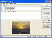 Bmp2PDF Pilot 1.00 screenshot. Click to enlarge!