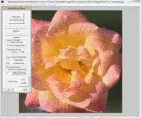 BracketMerge 2.03.00 screenshot. Click to enlarge!