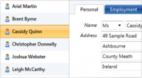 BrightPay 17.3.0 screenshot. Click to enlarge!