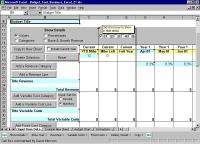 Budget Tool Business Excel 30 screenshot. Click to enlarge!