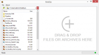 BulkZip 7.5.5334 screenshot. Click to enlarge!