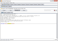 Burp Suite Free Edition 1.7.22 screenshot. Click to enlarge!