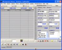 Business Expense Organizer 3.71 screenshot. Click to enlarge!