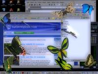 Butterfly Desktop 3D Screensaver 1.0 screenshot. Click to enlarge!