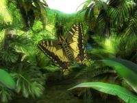 Butterfly Jungle 3D Screensaver 1.0 screenshot. Click to enlarge!