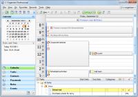 C-Organizer Pro 4.9 screenshot. Click to enlarge!