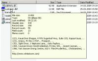 CDBFinfo 1.20. screenshot. Click to enlarge!