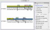 CLC Sequence Viewer 6.7.1.67103 screenshot. Click to enlarge!