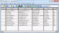 CSV Editor Pro 10.0 screenshot. Click to enlarge!