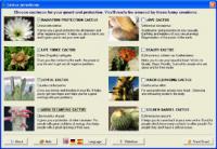 Cactus Emulator 2.01 screenshot. Click to enlarge!
