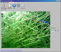 CamShot Monitoring Software 3.2.2 screenshot. Click to enlarge!