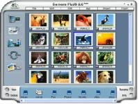 Camera Plus 2.0 Gold screenshot. Click to enlarge!