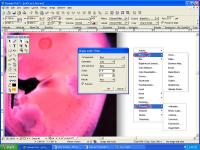 Canvas Scientific Imaging Edition (Mac) 9.0.4 screenshot. Click to enlarge!