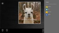 Captionize for Windows 8 1.1.0.3 screenshot. Click to enlarge!