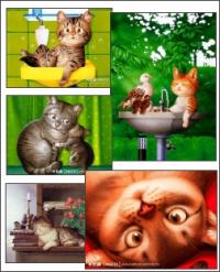 Cartoon Cats Screensaver 2 1.0 screenshot. Click to enlarge!