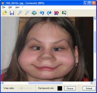 Cartoonist 1.3 screenshot. Click to enlarge!