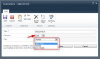 Cascading Lookup Field 1.0.0 screenshot. Click to enlarge!