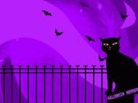 Cat and Bats Halloween Wallpaper 2.0 screenshot. Click to enlarge!