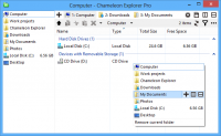 Chameleon Explorer Pro 2.0.0.402 screenshot. Click to enlarge!