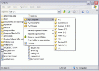 Chameleon Folder 1.41 screenshot. Click to enlarge!