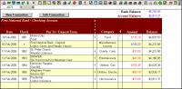 Checkbook for Excel 6.0b screenshot. Click to enlarge!