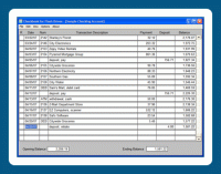 Checkbook for Flash Drives 1.03 screenshot. Click to enlarge!