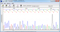 Chromas Lite 2.1.1 screenshot. Click to enlarge!